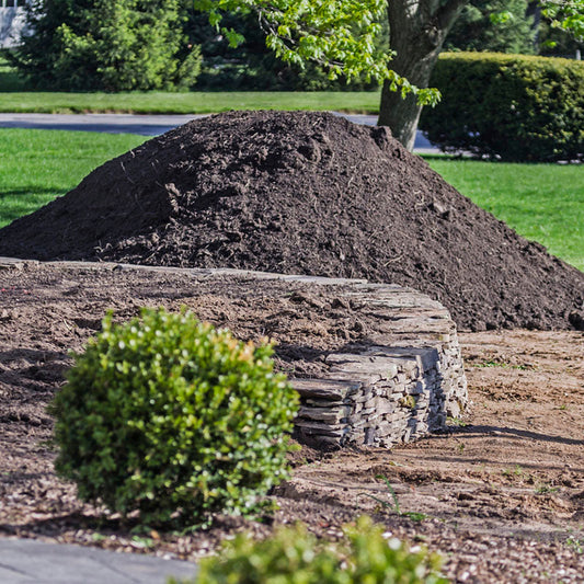 Top Soil