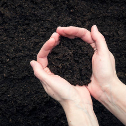 Mix Soil with compost